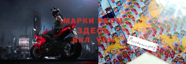 молекула духа Елабуга