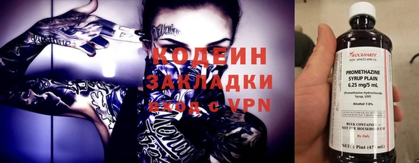 молекула духа Елабуга