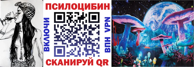 Купить  Нарткала  Псилоцибиновые грибы Magic Shrooms 